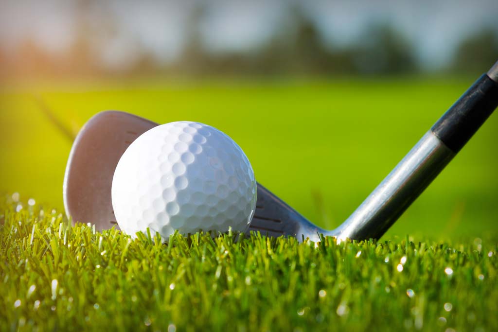 Golf - Duck Cove Inn